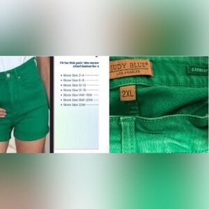 Judy Blue Vibrant Green Jean Shorts, 2X